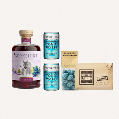 Gin o'clock - gave med gin og snacks