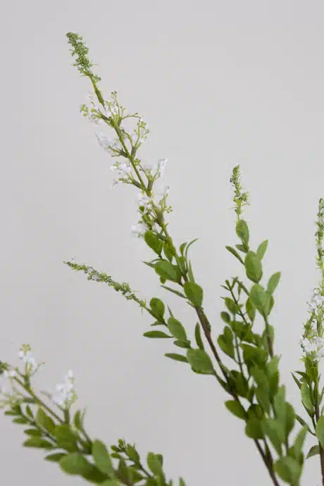 Gren med hvide blomster - Bloom Object