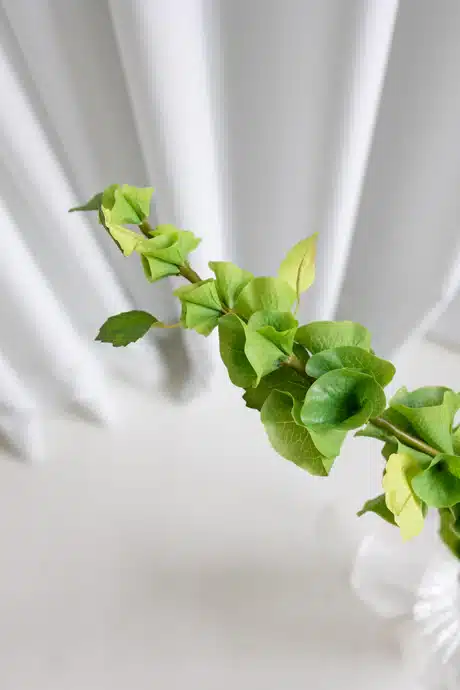 Bell blomst, grøn - Bloom Objects