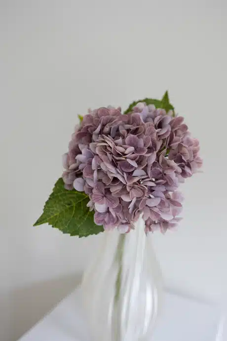 Lilla hortensia - Bloom Object