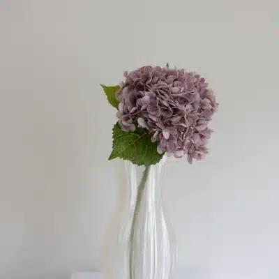 Lilla hortensia - Bloom Object