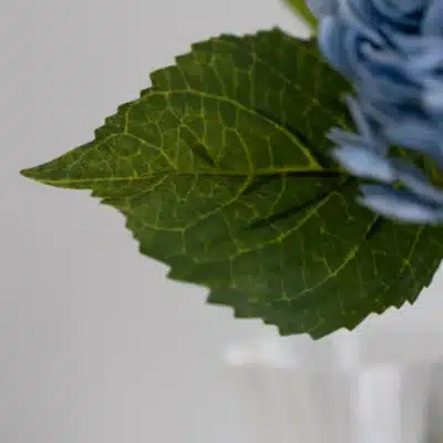 Blå hortensia - Bloom Object - Image 3