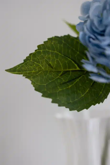 Blå hortensia - Bloom Object