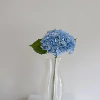 Blå hortensia - Bloom Object