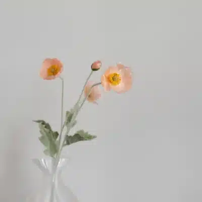 Valmue ferskenfarvet - Bloom Objects - Billede 2