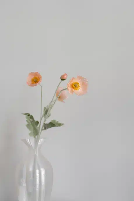 Valmue ferskenfarvet - Bloom Objects