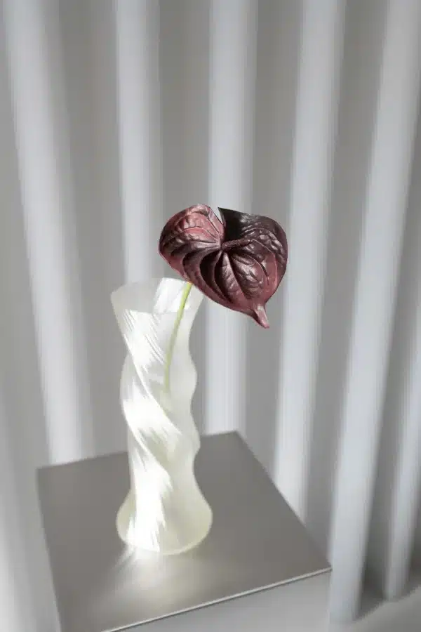 Anthurium - Bordeaux - Bloom Objects