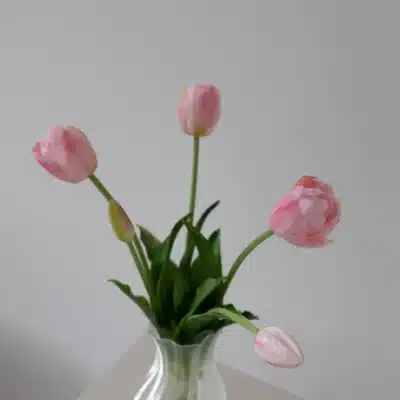 5 stk. fyldige tulipaner, lyserød- Bloom Objects - Image 2