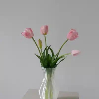 5 stk. fyldige tulipaner, lyserød- Bloom Objects