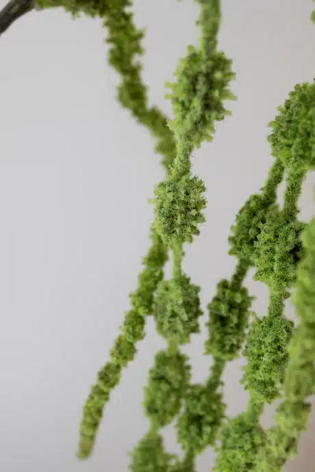 Kunstig rævehale, 6 grene - Bloom Objects