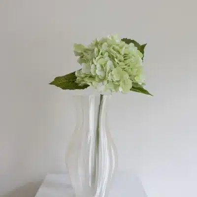 Lysegrøn hortensia - Bloom Object