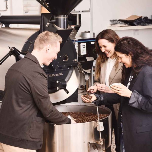Øko Brasilien, Dutra, hele bønner - Nordic Coffee House